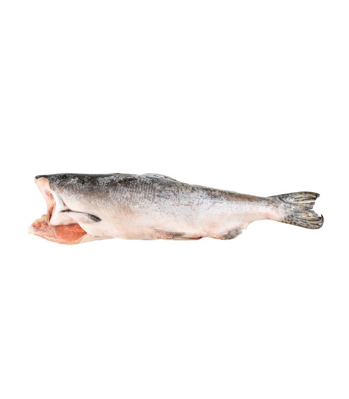 vg-sf-frzf-4.jpg Pink (Hump-Back) Salmon - 图片 1