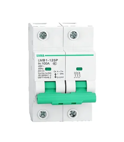 LMB1-125P MCB 125A 6kA 2P